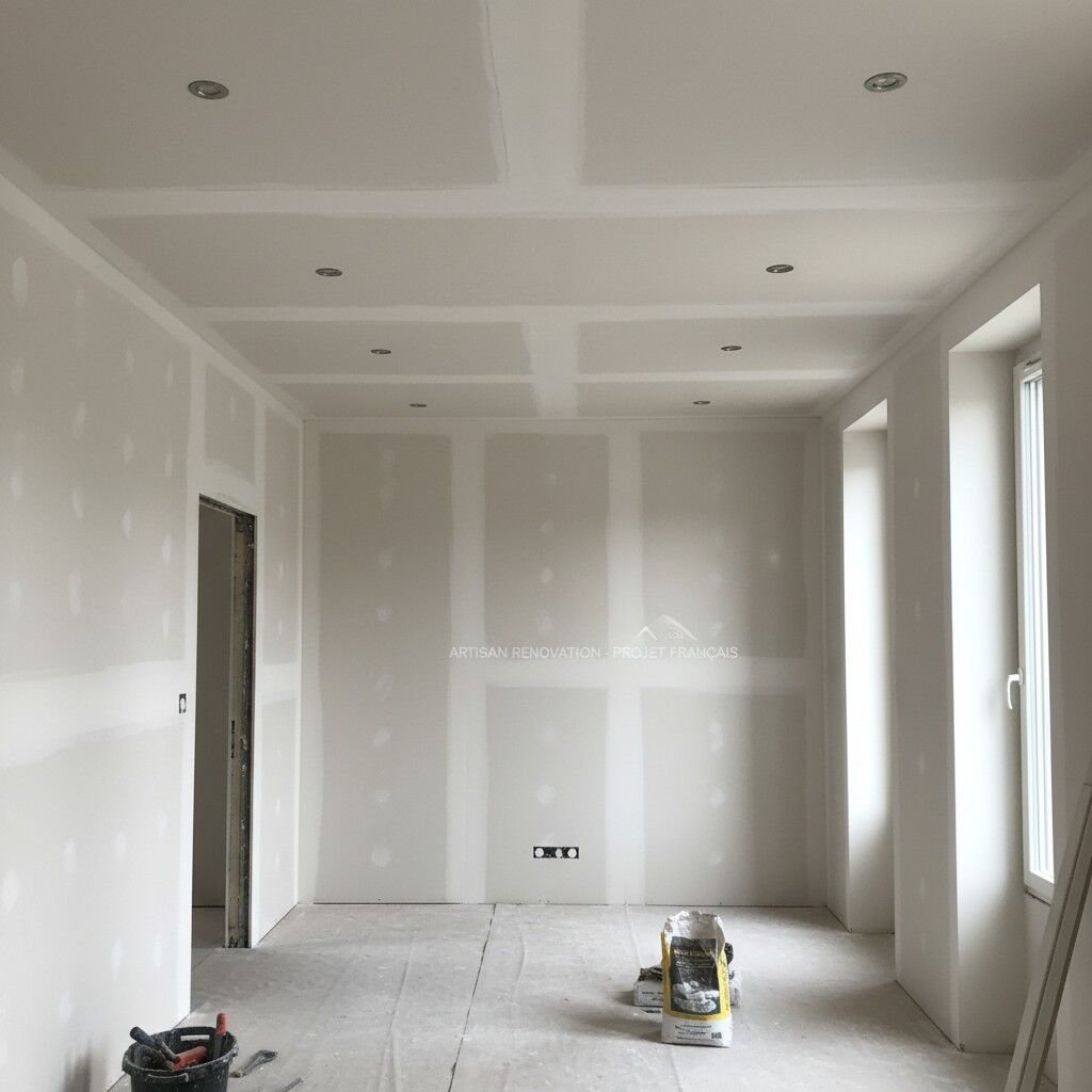 Projet de Plaquiste - Photo 2